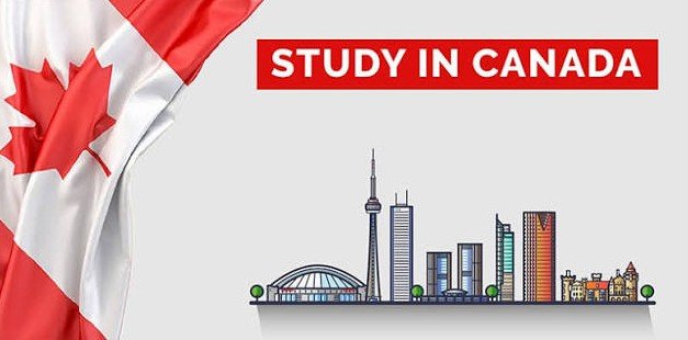 Best Universities for MBA with Affordable Tuition Fees